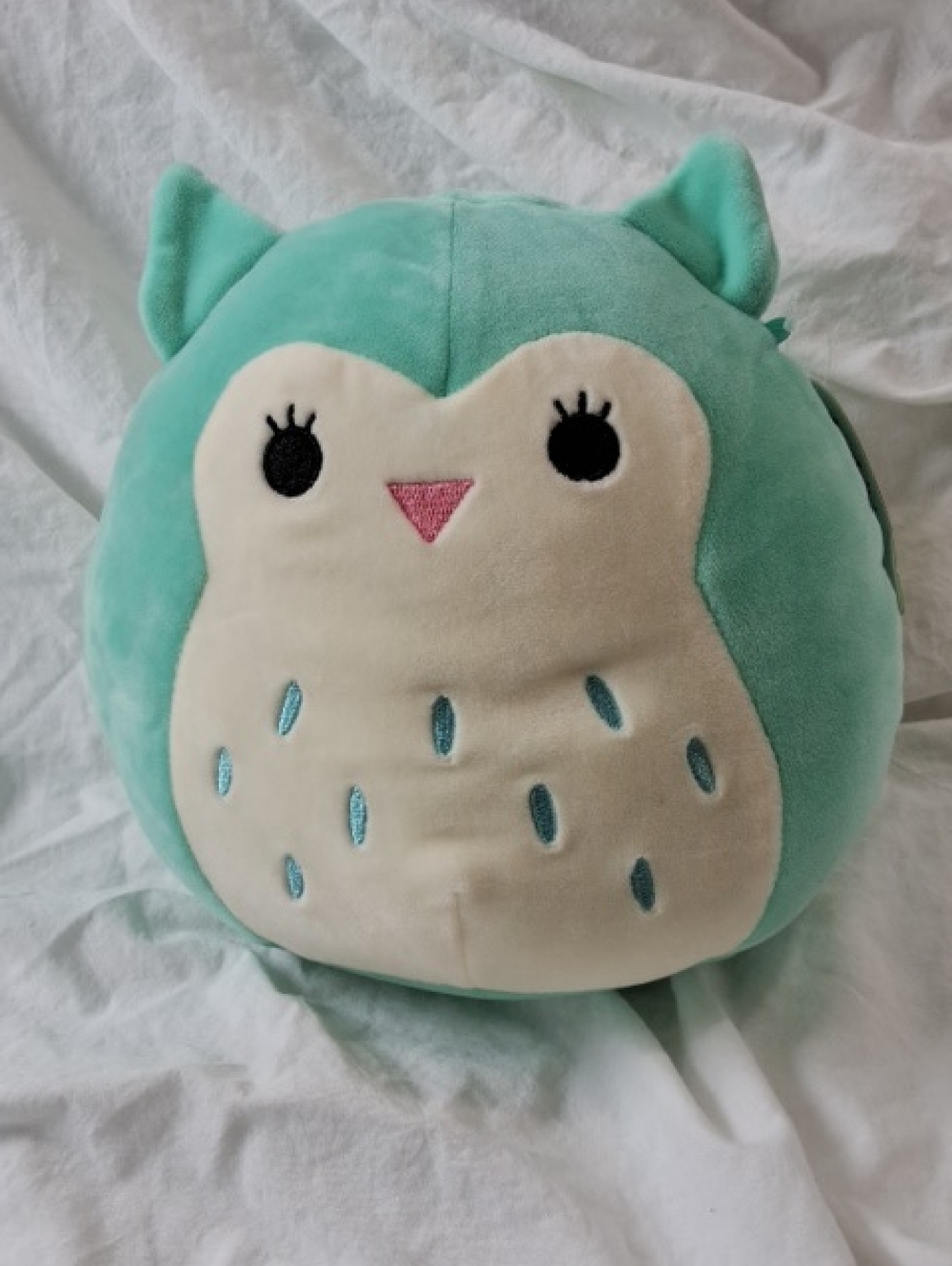 Squishmallows 8" Winston the Owl, NWT